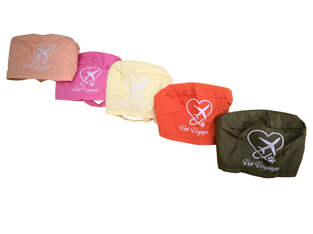VetVoyage Scrub Cap – Summer Collection